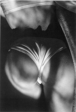 federer7:  Culotte au soleil 1990 © Jeanloup Sieff 