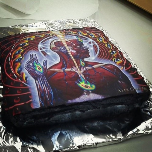 TOOL LATERALUS CAKE adult photos