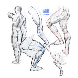 kasiaslupecka:    My opinion about Burne Hogarth’s ‘Dynamic figure drawing’ Some sketches and notes. If you are artist that wants to learn anatomy or beginner artist and you are confused which resources to use to learn human figure you might find