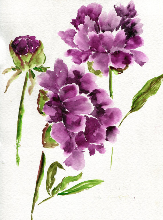 havekat: Peonies Watercolor and Chinese Ink On Paper 2015, 9″x 12″ Dark Magenta