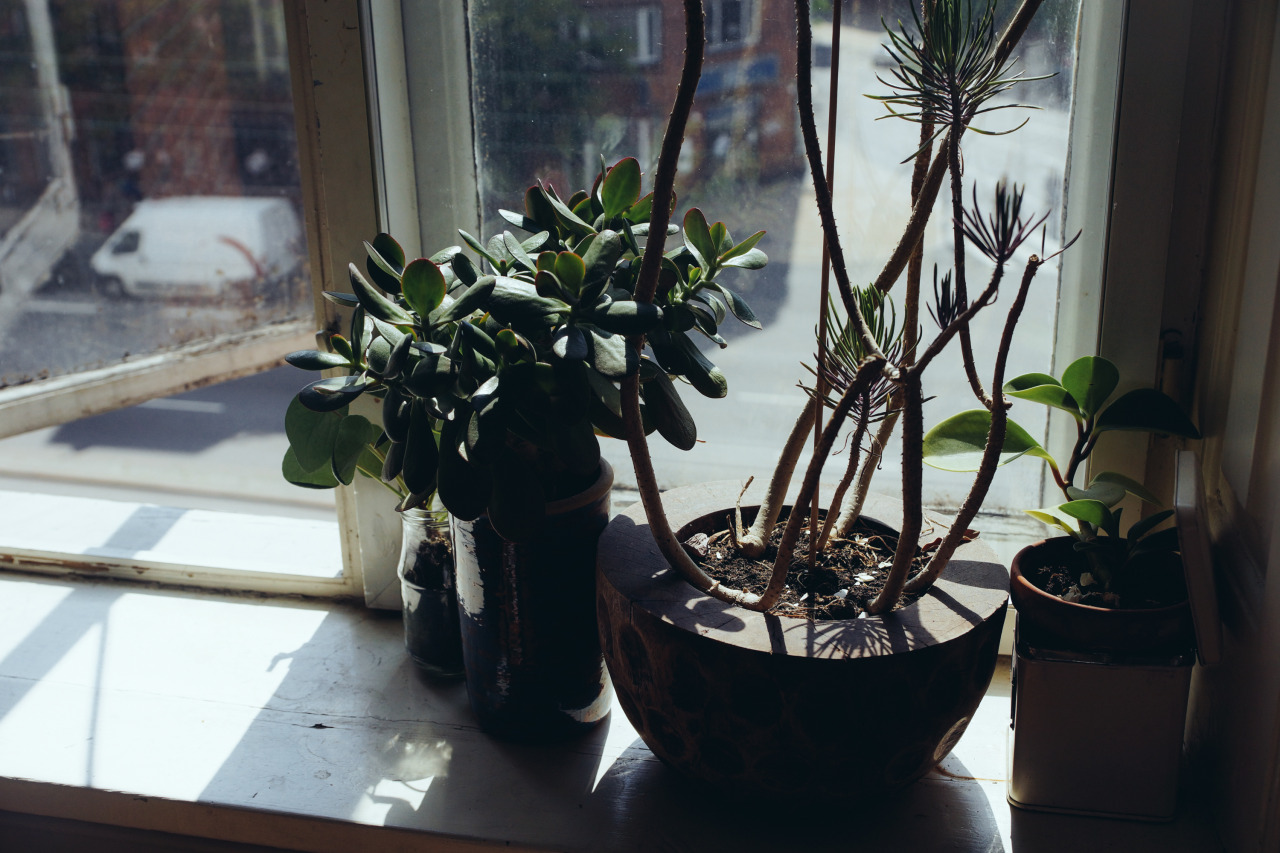 masonjarsorkeys:  Copenhagen, July 2013.