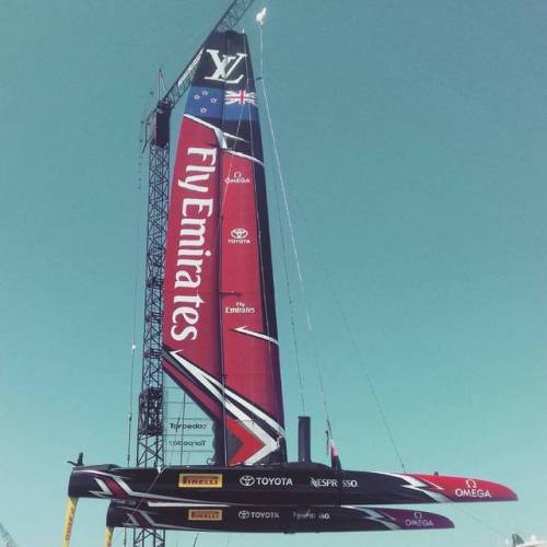 vagabundotothesea:Look…a flying kiwi!  #nzthenewtasmania #goyougoodthing! (at America’s Cup Village) Let me tell you where to stick that golden spanner!