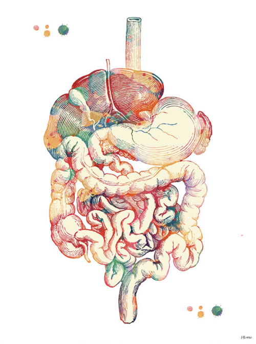 mednerds: Medical Art by MimiPrints