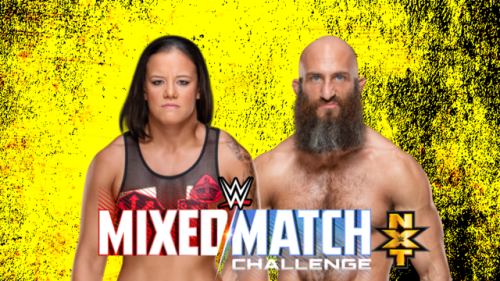 themcmeggers:NXT MIXED MATCH CHALLENGE AU: NXT hosts an 8 team tournament to crown the very first NX