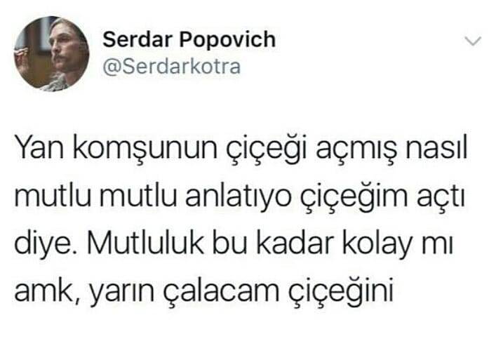 Serdar...