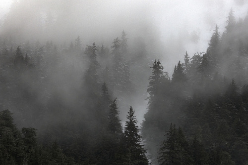 secret-paranoia:  oix:  untitled by MOKI RIM on Flickr.              http://secret-paranoia.tumblr.com
