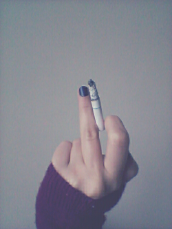 stupid love.