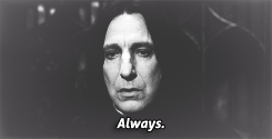 Harry Potter Daily