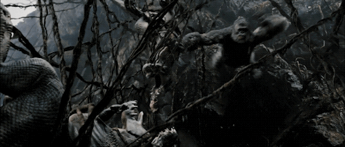 citystompers1:King Kong (2005)