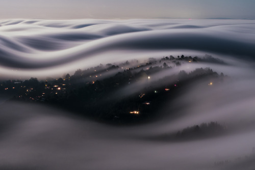 el-mo-fo-to: vaporscapes ・i | marin county, california A series of long exposure fog photos I’
