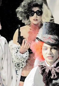 Paws Up