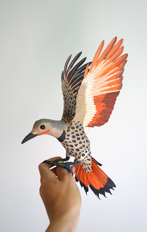 2017 - I made a paper Northern Flicker :)