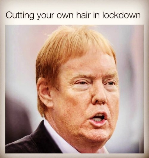 The two guys with the two worst haircuts. One a bowl cut, the other an extreme combover, swirl thing. For this picture, the bowl wins. #flipit #davisfacetrumphair  https://www.instagram.com/p/B_B3rxZDx8b/?igshid=1r62uh6k0cjjf