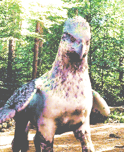 bahtmun:  Fantastic Beasts and Where to Find Them by Newton Scamander         