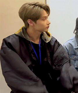 Sweater Paws ⸜( ˙˘˙)⸝