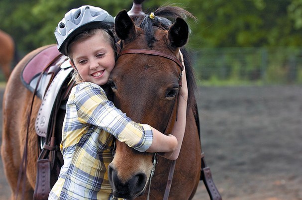 equine-awareness:  The Chincoteague PonyEvery little girl wants a pony, it is said.