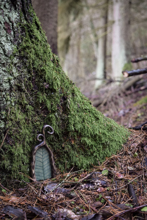 spiritofthewoodlands:Door by ju1iu5
