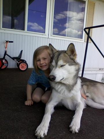 pupcontent: pupcontent:  pupcontent:  While wolfdogs do tend to have high prey drive,