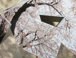 archatlas:  In Flakes Mount Fuji Architects Studio