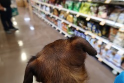thefitally:  We went to the grocery store today