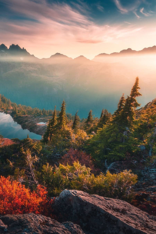 lsleofskye: "Autumn in the Alpine" | calibreus Location: Vancouver Island, British Columbi