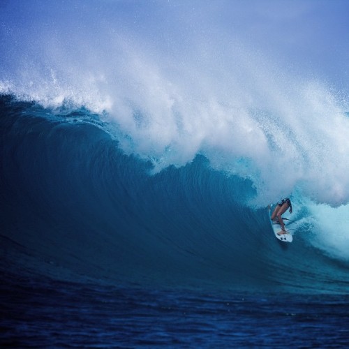 Surf Life