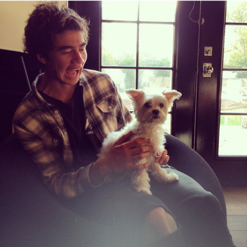 Calum and dogs just make me extremely happy. 