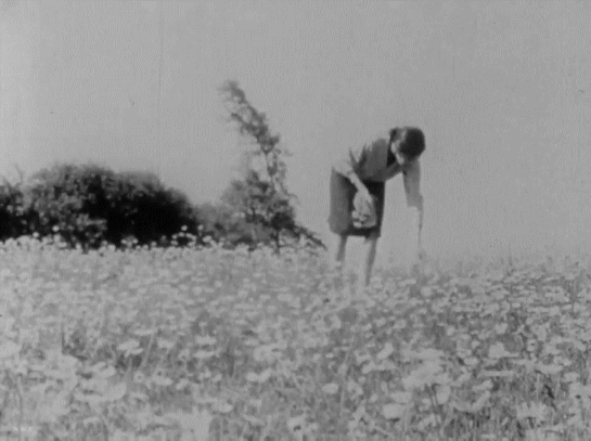 Jack Chambers, Mosaic, 196416mm Filmmore