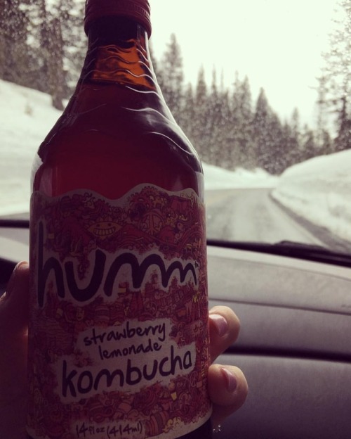 I did not like the #kombucha I could see very slowly sipping it for its benefits, but couldn&rsquo;t