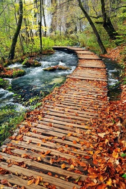 0rient-express:  Plitvice | by Sorin Rechitan |