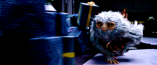 outtagum:  Meet the creatures from ‘Fantastic Beasts and Where To Find Them’  Niffler -  mischievous