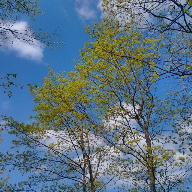 #Heaven My #precious #favorites  #Gatchina / #May, 2013  #perfect #sky &amp;