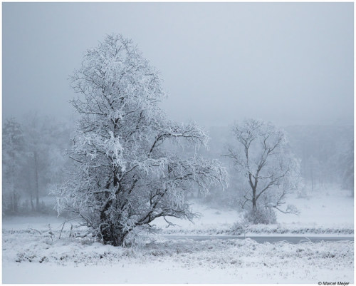 Misty wintersday. by nedernoorman Norway flic.kr/p/2kp2RYK