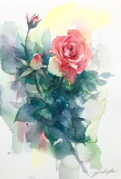薔薇(Rose) Dec.25.2017 watercolor size:158*227mm (SM) paper:water ford white (中目・300g/m2)