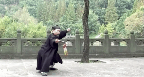 gabuwingchun:  Wudang Taiji Jian by Grandmaster Zhong Yun Long