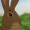 bumpyfrog:Pterry was an atheist but small gods is probably one of the most moving