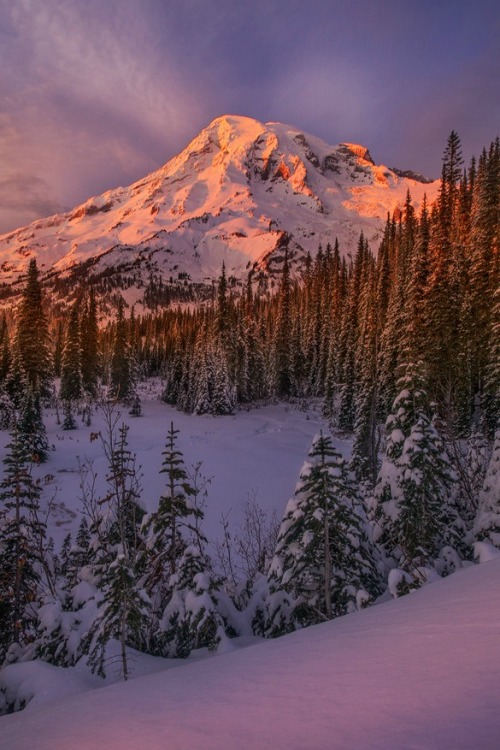 sundxwn: Comfortably Numbby Candace Bartlett