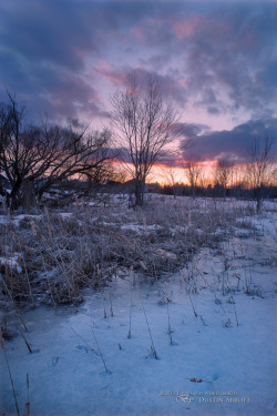 sublim-ature:  Still Winter, Still Beautiful (by Dustin Abbott)   19/12/13