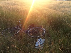 frecklebub:  challenge no.3 - go for a picnic  failed ‘cause I went to a field to eat some raspberries but then a farmer went after me in his tractor and I had to run away 