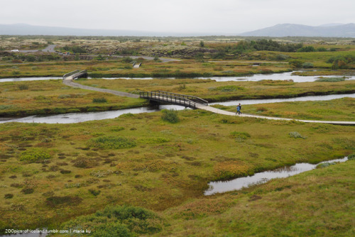 Pictures of Iceland: 195/200.