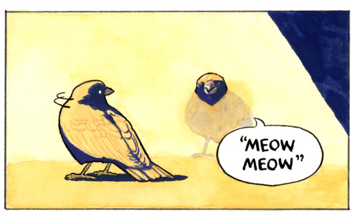 falseknees: The StuffStore / Patreon