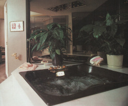 palmandlaser:  From Rodale’s Home Design Series: Baths (1987)