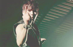 Welcome to my Wonderland
