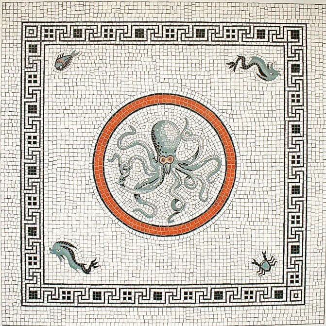 museum-of-artifacts:  Octopus Mosaic in Pompeii, Italy  #octopus #mosaic #art #history