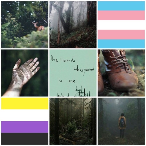 Trans Nonbinary Forests Moodboard for Anonymous