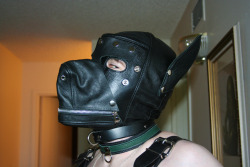 monsterbaitx:  Puppy Portrait Photographer: