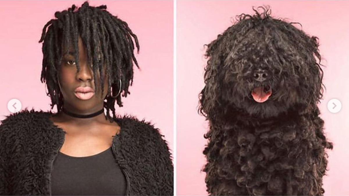 babyanimalgifs: Photographer puts dogs and their owners side by side, and the resemblance