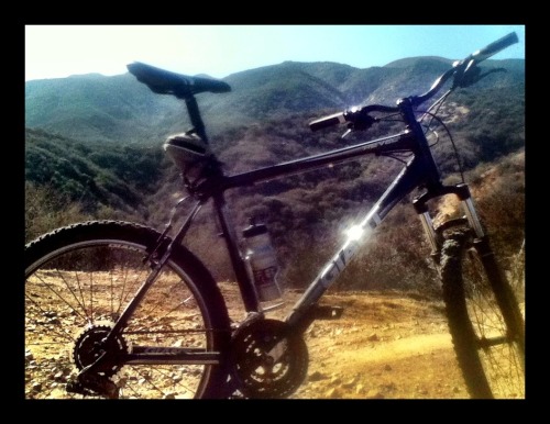 rubendown:  Tarantula hills