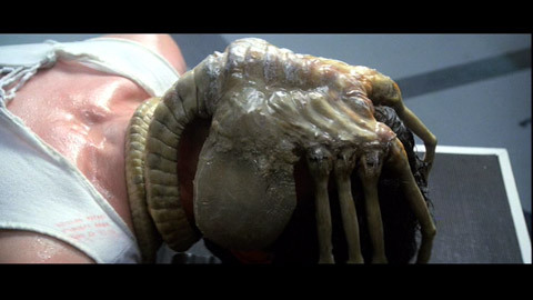 machineraptor:  Aliens &lt;3 