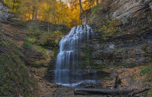 Tiffany Falls by Steven Rossi instagram : steve.rossi.1401  Thanks to all who comment or mark as a f